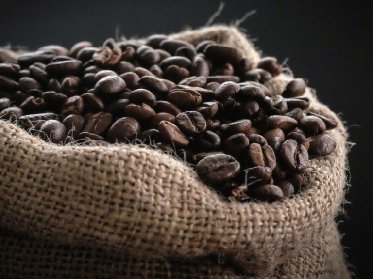 Discovering the Essence of Guatemalan Coffee: Single Origin Splendors