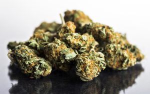 Bulk THCA Flower Sales Stock Up on Potent Cannabis