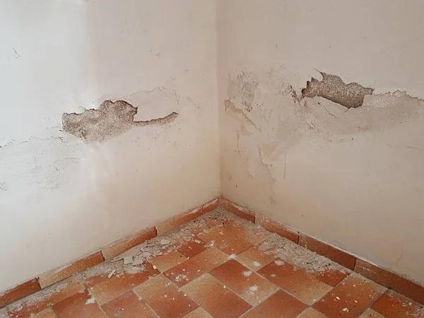 When DIY Isn’t Enough: Professional Water Damage Restoration Benefits